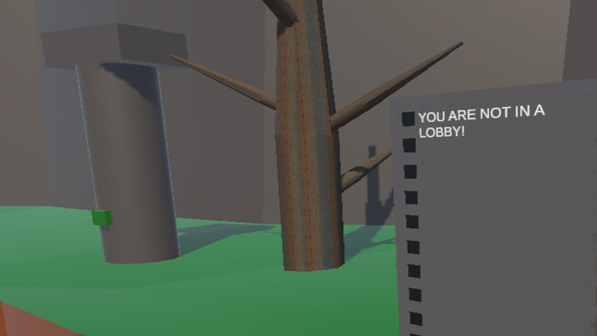 Cebidae VR