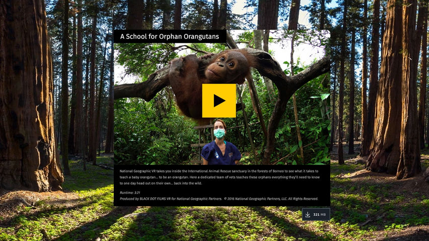 National Geographic VR