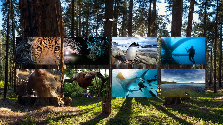 National Geographic VR