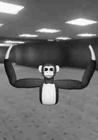 Ape Anomaly