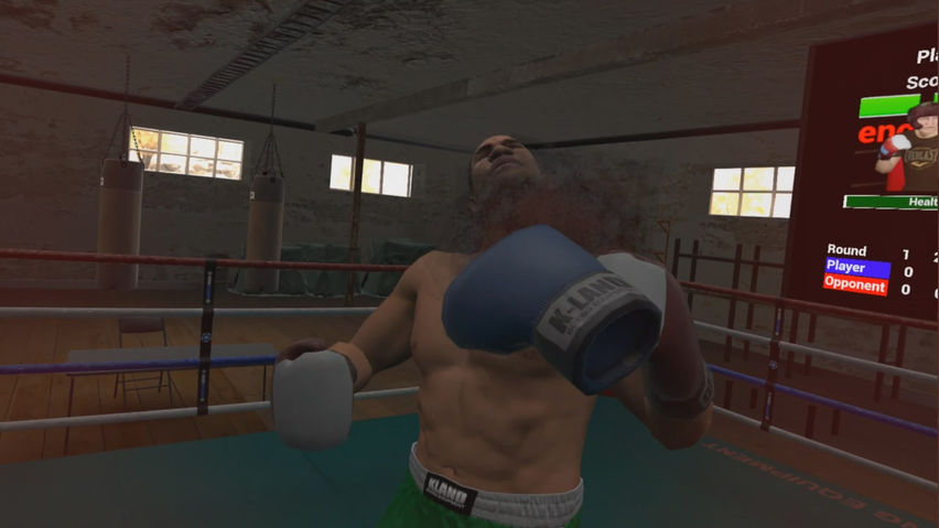 True Boxing VR