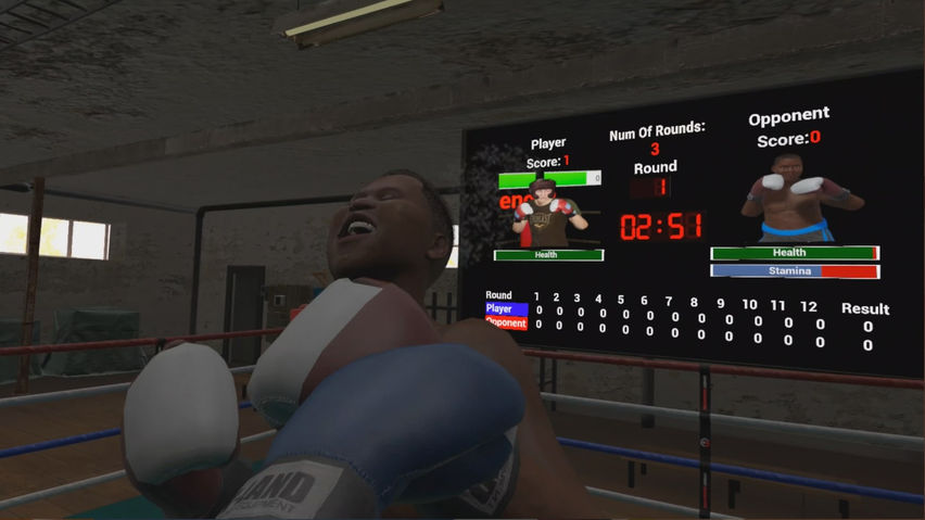 True Boxing VR