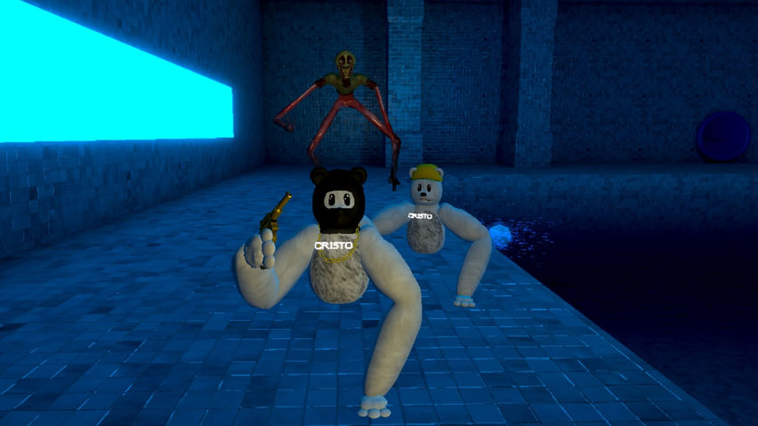 PolarChaseVR