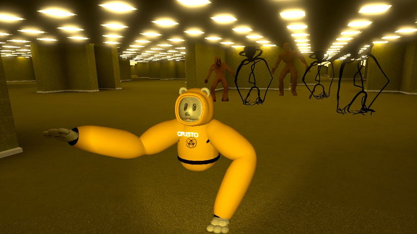PolarChaseVR
