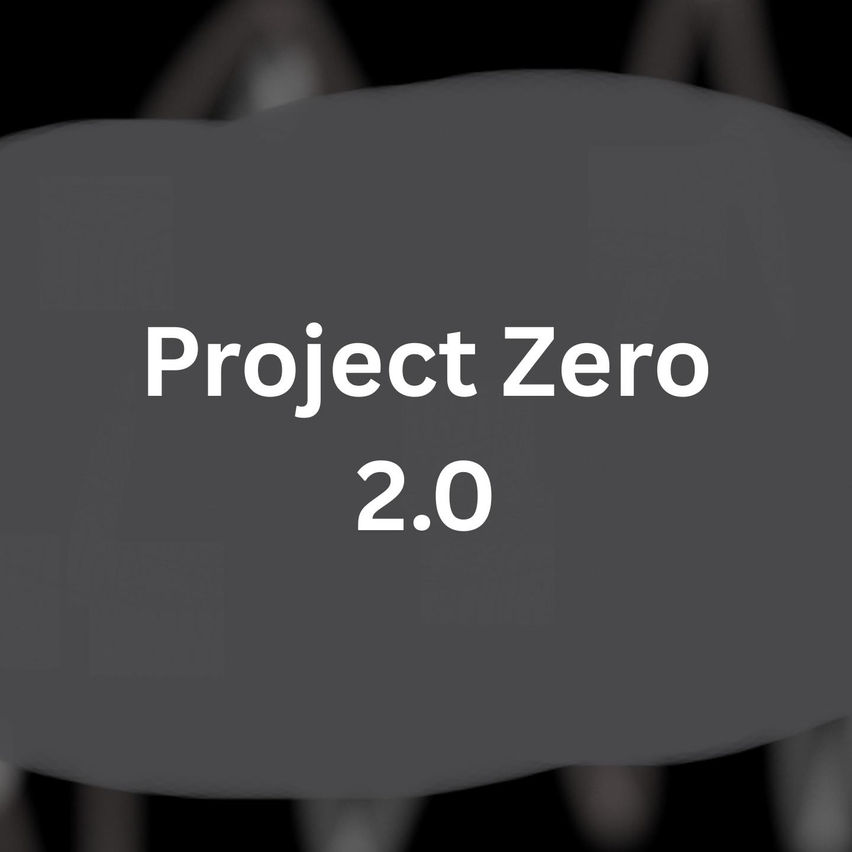 Project Zero 2.0