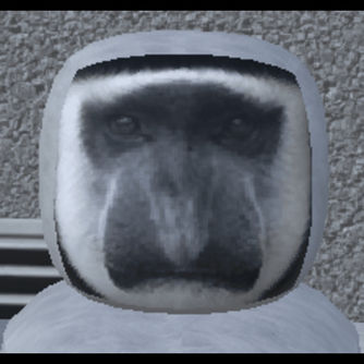 Guereza