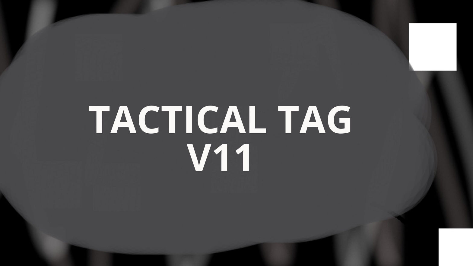 TACTICAL TAG V11