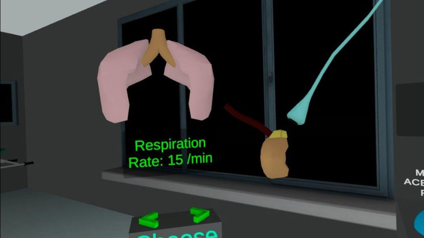 Autonomic Nervous System Simulator