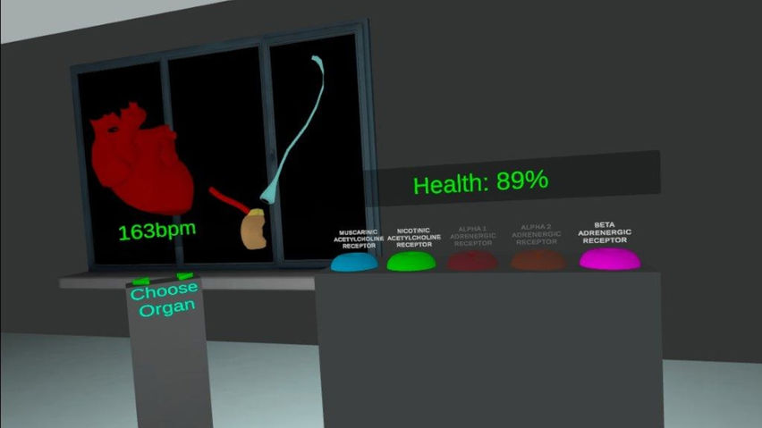 Autonomic Nervous System Simulator