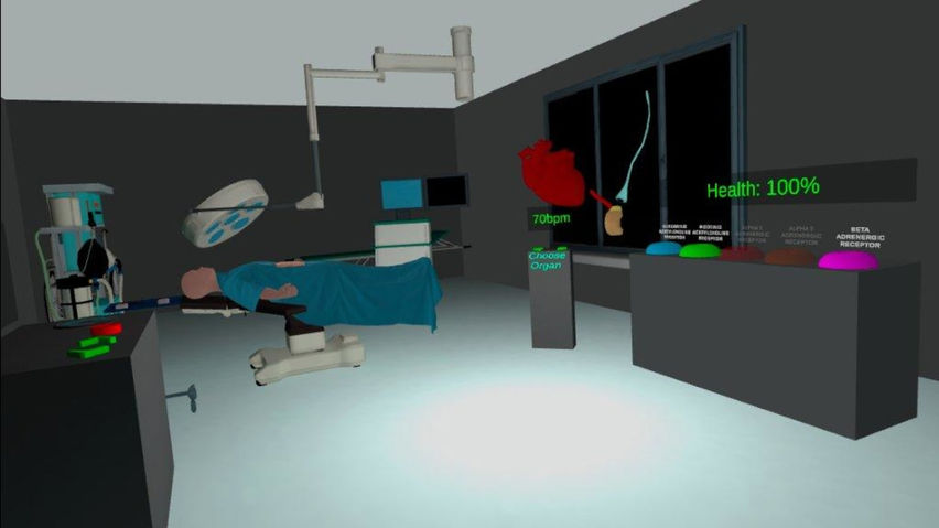 Autonomic Nervous System Simulator