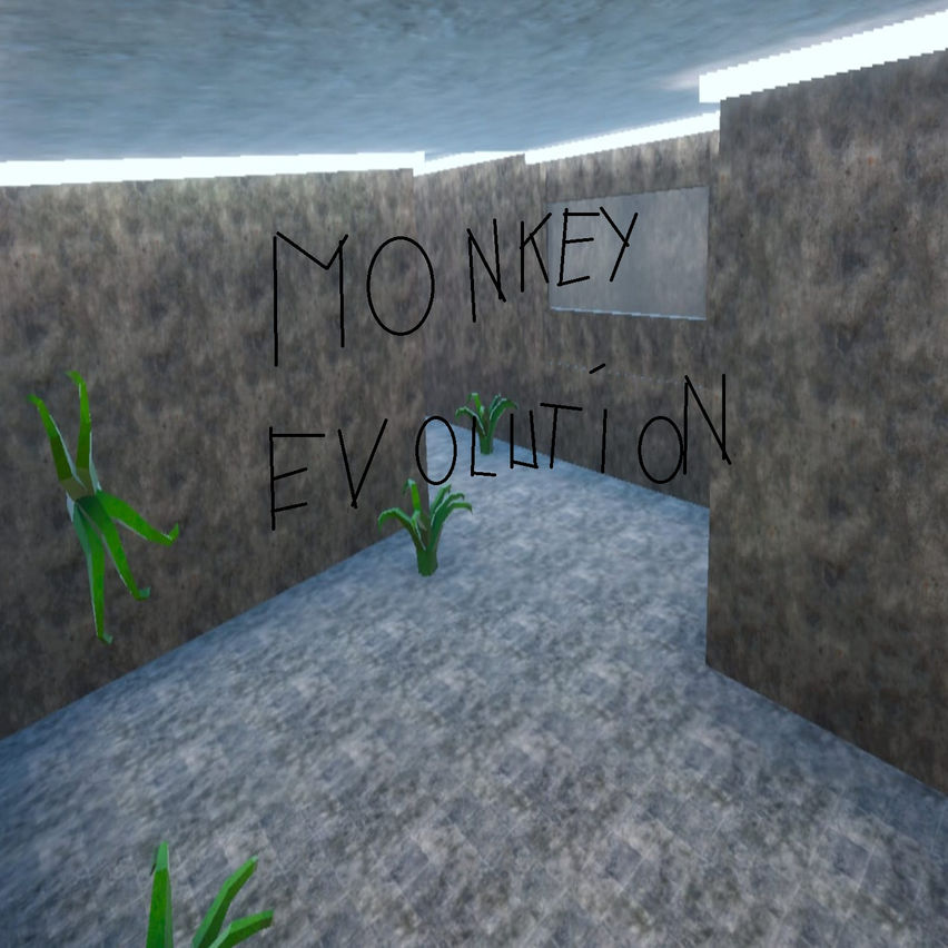 Monkey Evolution