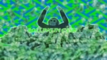 Rolling In Cash