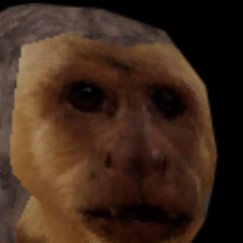 Monkeys Life VR 2