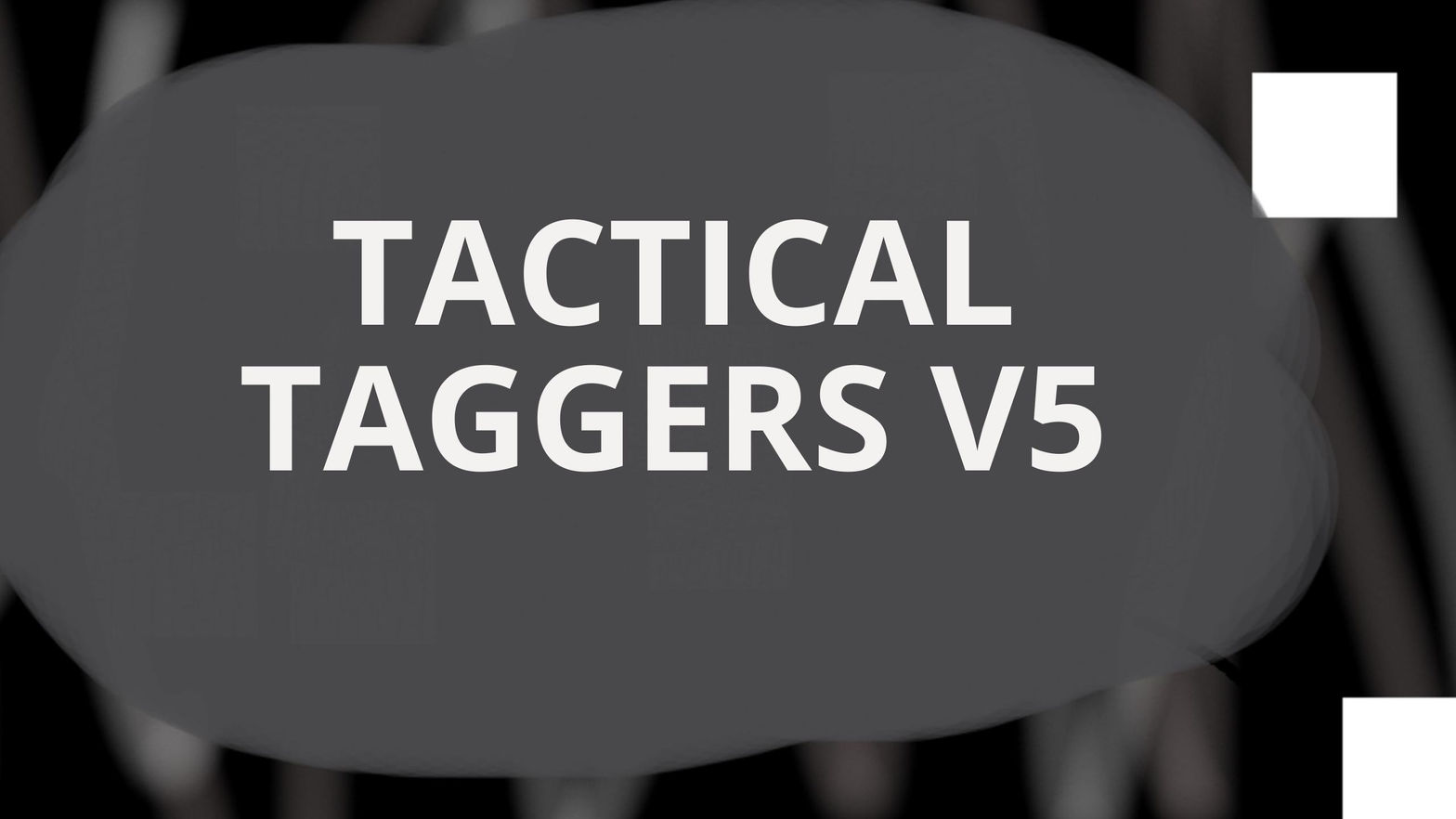 TACTICAL TAGGERS V5