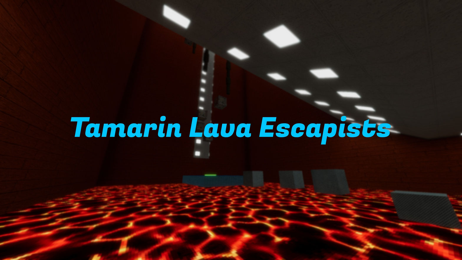 Tamarin Lava Escapists VR