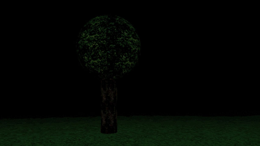 Forest Apes