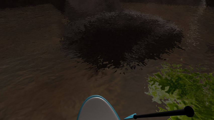 Paddle Ride Experience