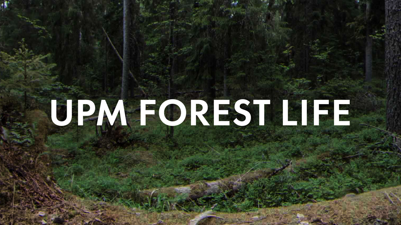 UPM Forest life