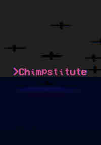 Chimpstitute