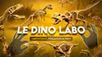 Cretaceous Predators & Prey – DLC Pack #2