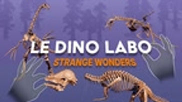Strange Wonders - DLC#4