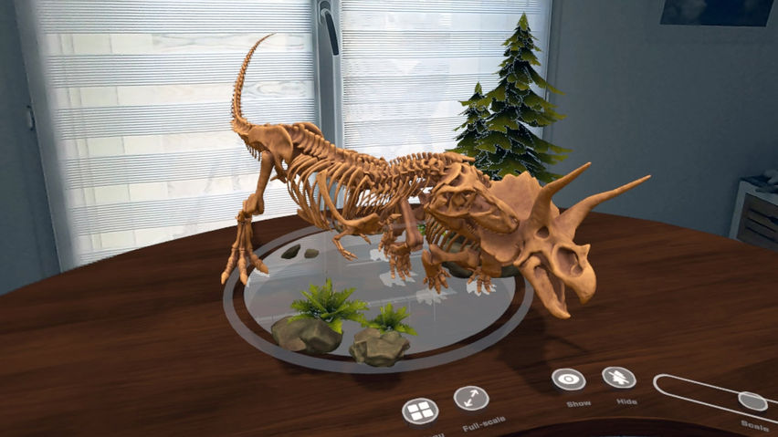 Le Dino Labo