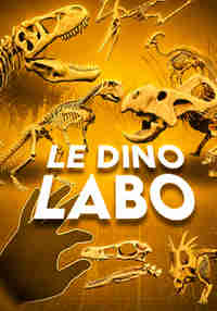 Le Dino Labo
