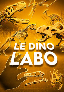 Le Dino Labo