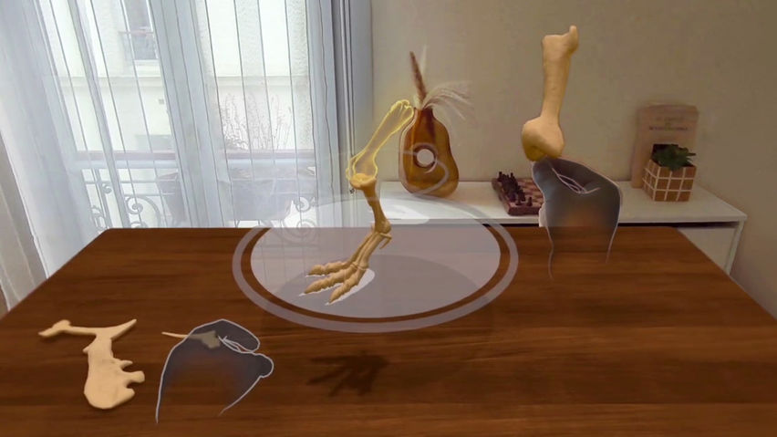 Le Dino Labo