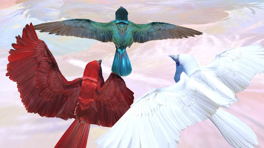 Birds: SkySea’s End