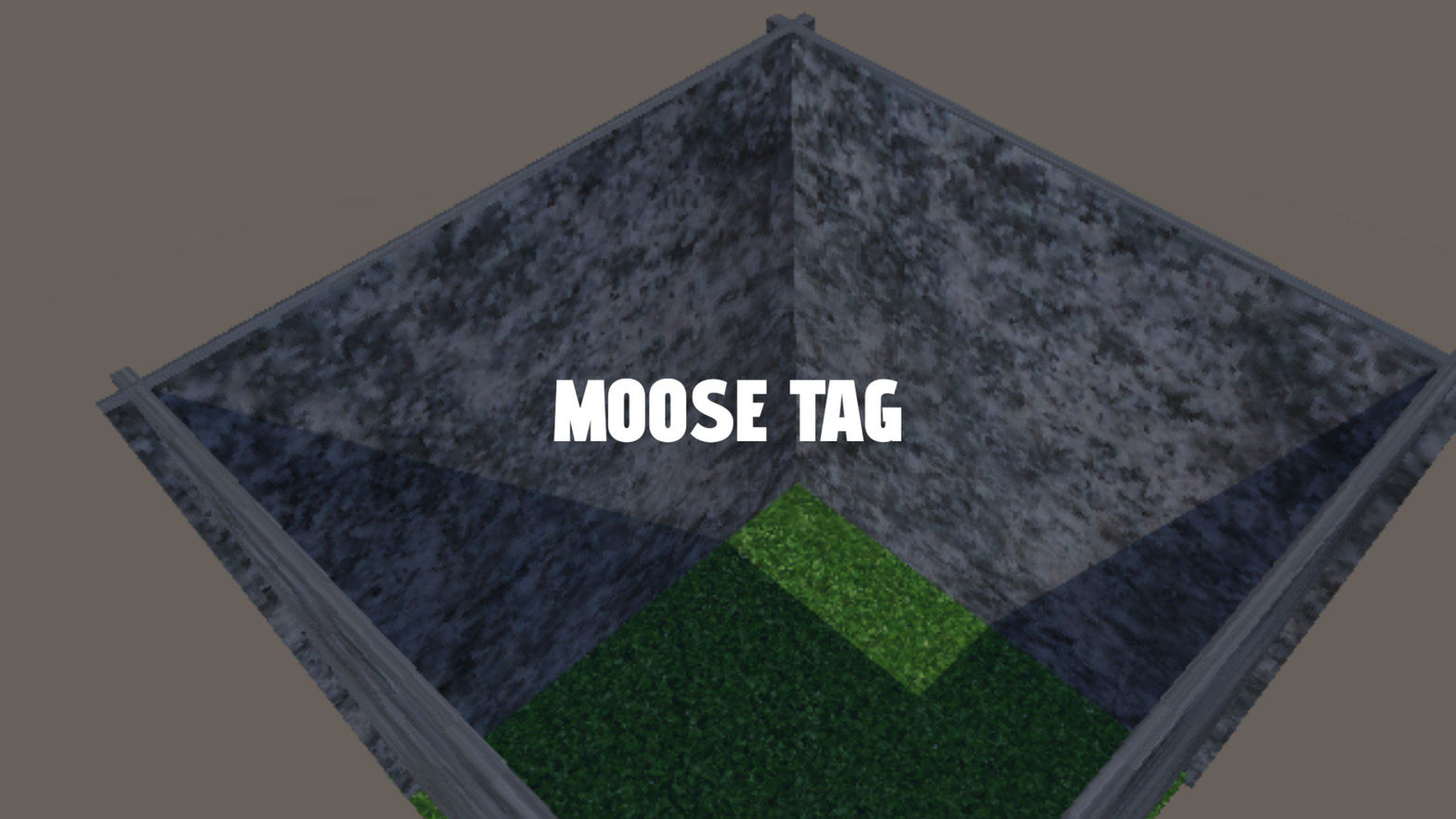 Moose Tag