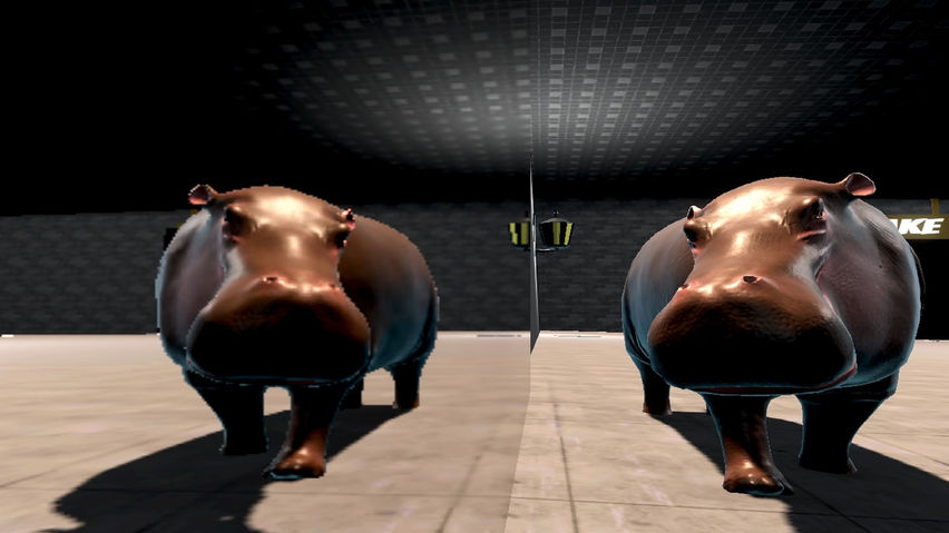 Hippo VR