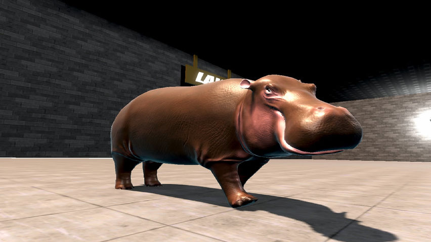 Hippo VR