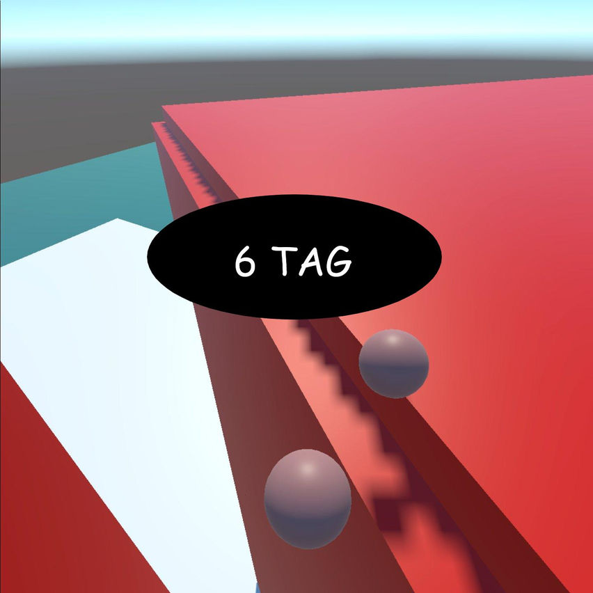 6 Tag