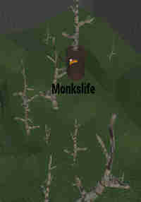 MonksLife