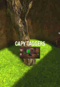 Capy Taggers