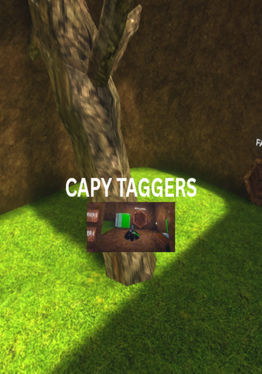 Capy Taggers