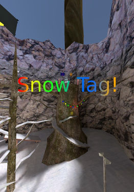 Snow Tag!