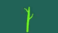 Donate Stick