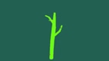 Donate Stick