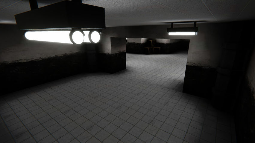 C.H.I.M.P Anomaly