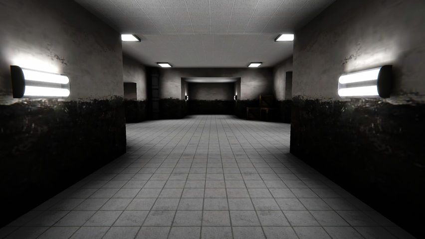 C.H.I.M.P Anomaly