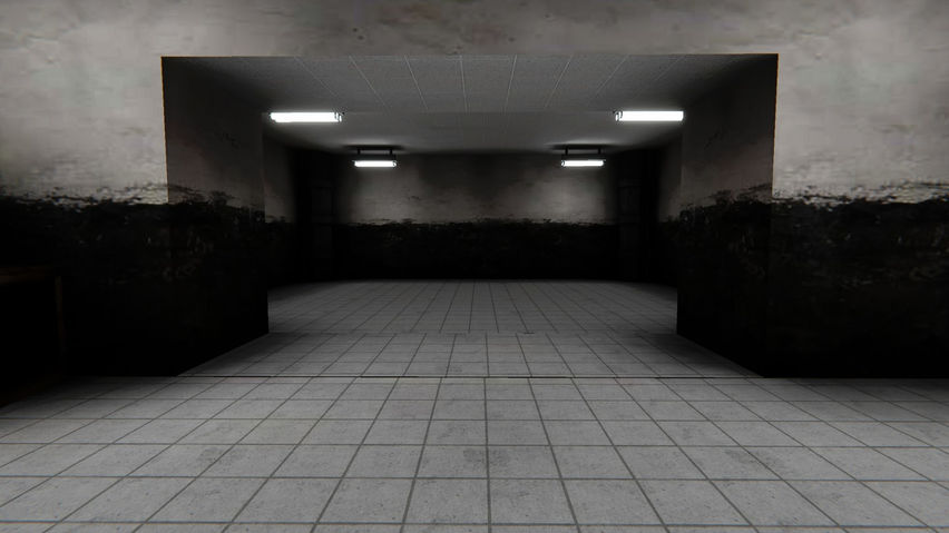 C.H.I.M.P Anomaly
