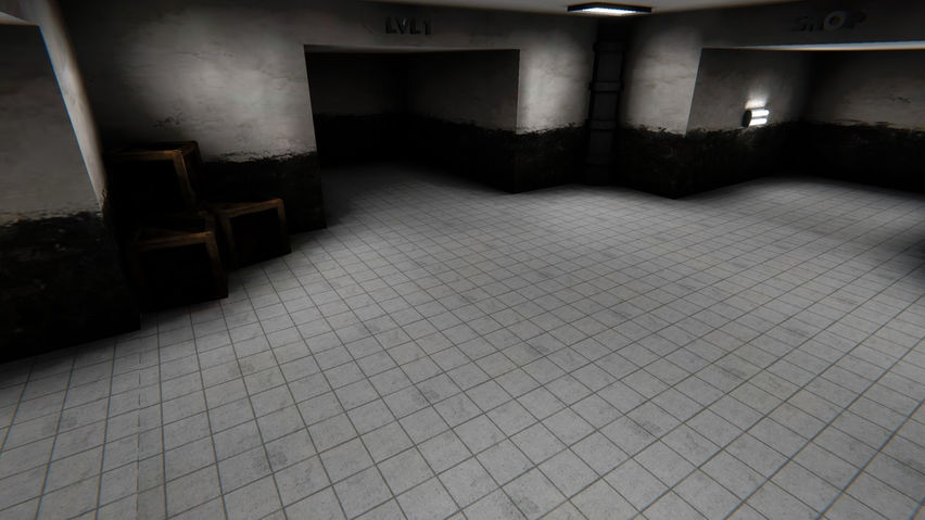 C.H.I.M.P Anomaly