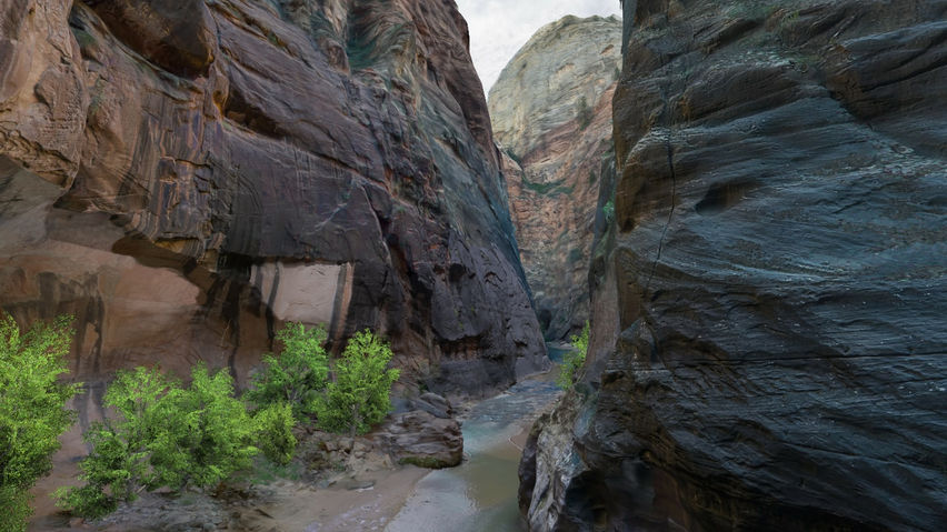 The Zion Narrows Experience