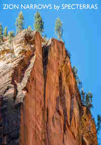 The Zion Narrows Experience