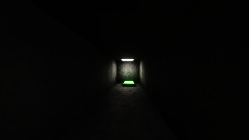 Liminal Chimps VR