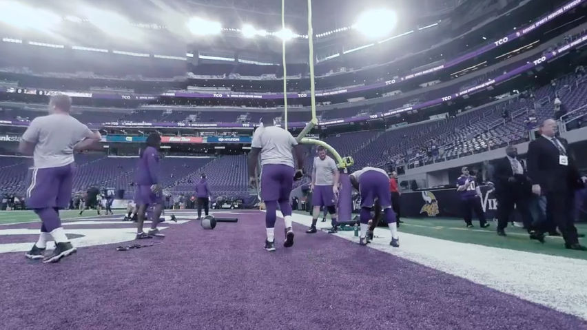 Minnesota Vikings VR