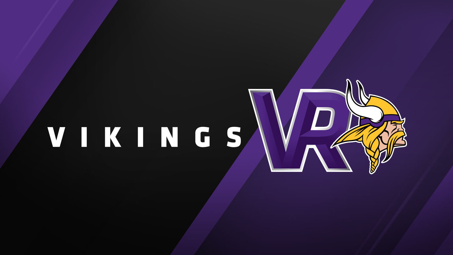 Minnesota Vikings VR