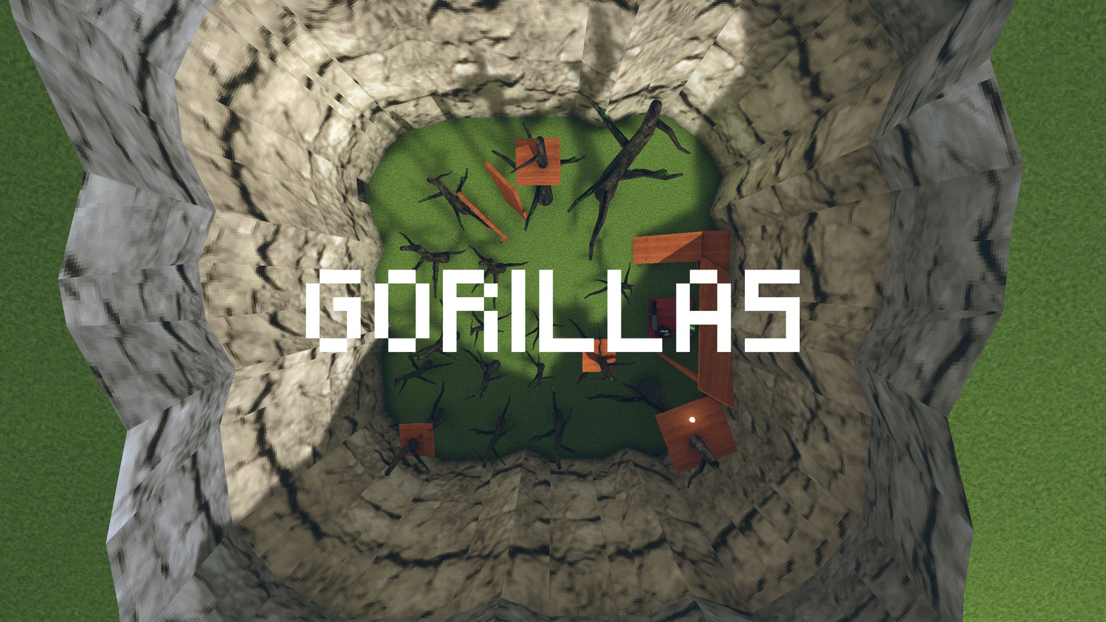 Gorillas